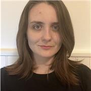 Cours de soutien scolaire/universitaire, aide aux devoirs, anglais générale